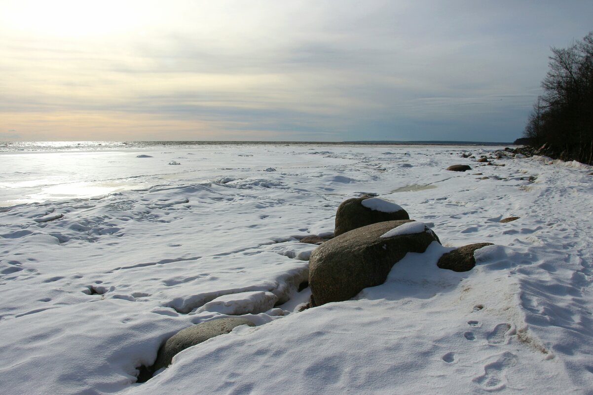 Зеленогорск. Март - Наталья Герасимова Зеленогорск. Март - Наталья Герасимова