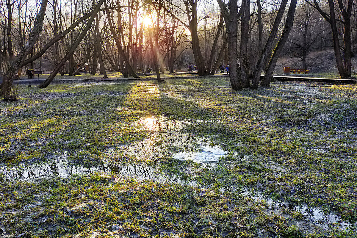 Весна в парке - Alex Sash Весна в парке - Alex Sash