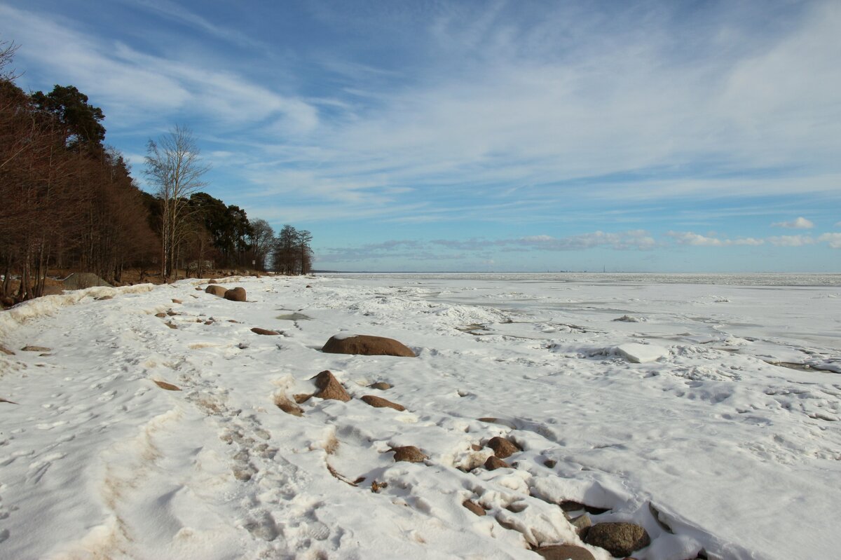 Зеленогорск. Март - Наталья Герасимова