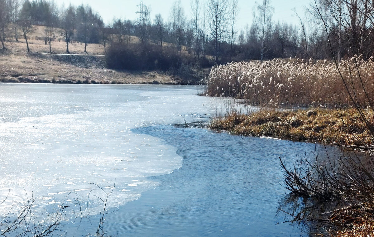 Весна. - Владимир Безбородов