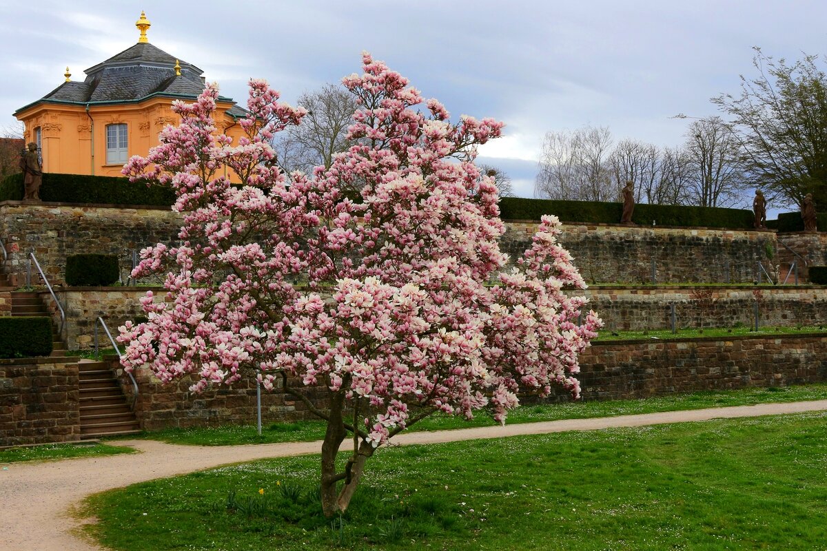 23 марта - Юрий. Шмаков 23 марта - Юрий. Шмаков