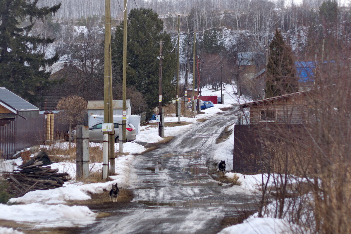 На посту. Село Щербаково. 22 марта 2025 года - Михаил Полыгалов На посту. Село Щербаково. 22 марта 2025 года - Михаил Полыгалов