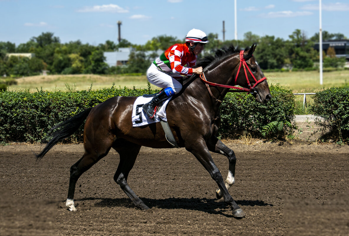 форкентер - golkiper61 