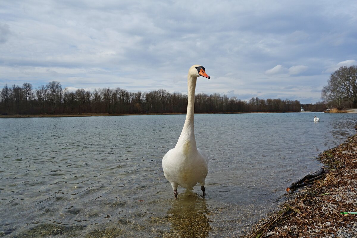 ... - Галина ... - Галина