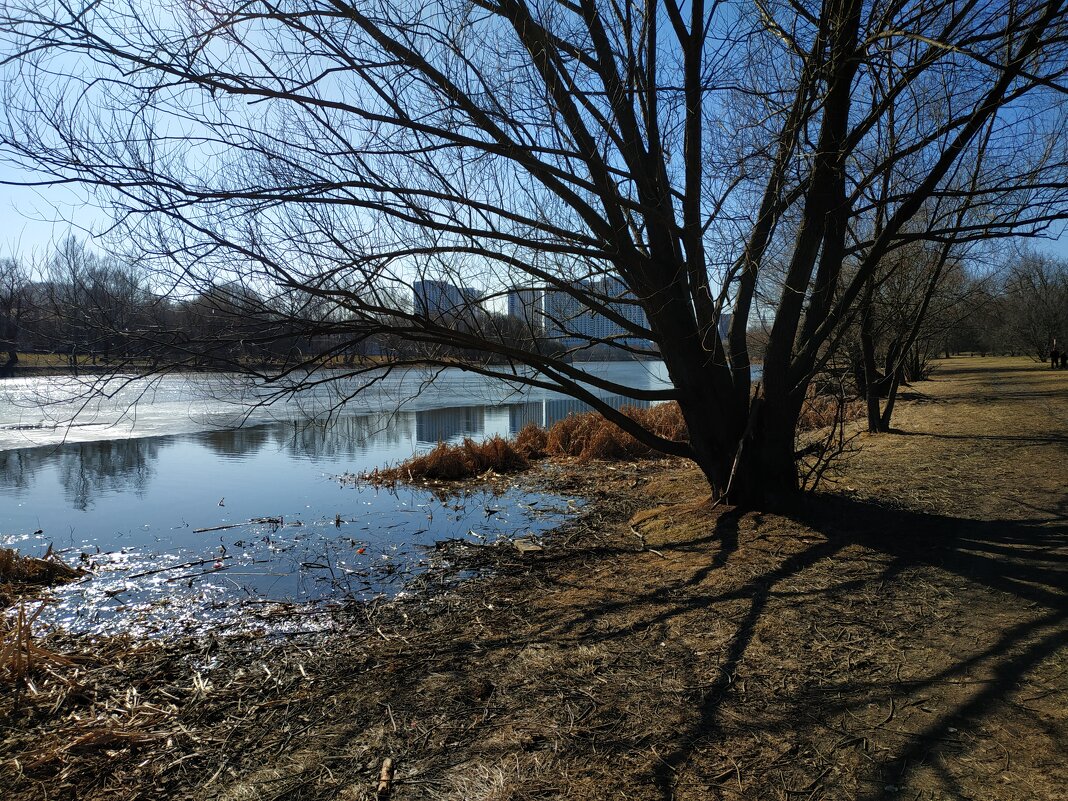 Хорошо, что я снова на велосипеде! - Андрей Лукьянов Хорошо, что я снова на велосипеде! - Андрей Лукьянов