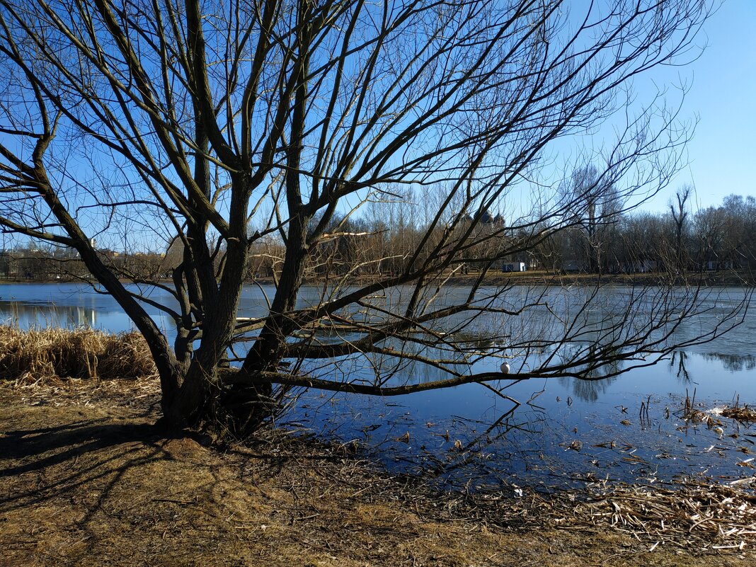 Хорошо, что я снова на велосипеде! - Андрей Лукьянов