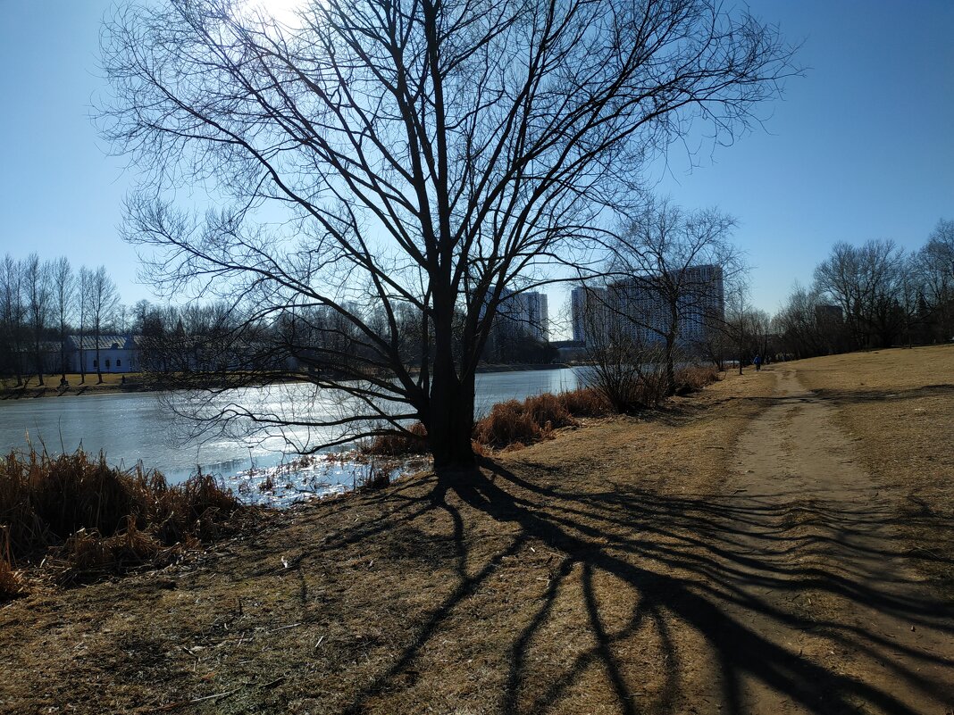 Хорошо, что я снова на велосипеде! - Андрей Лукьянов