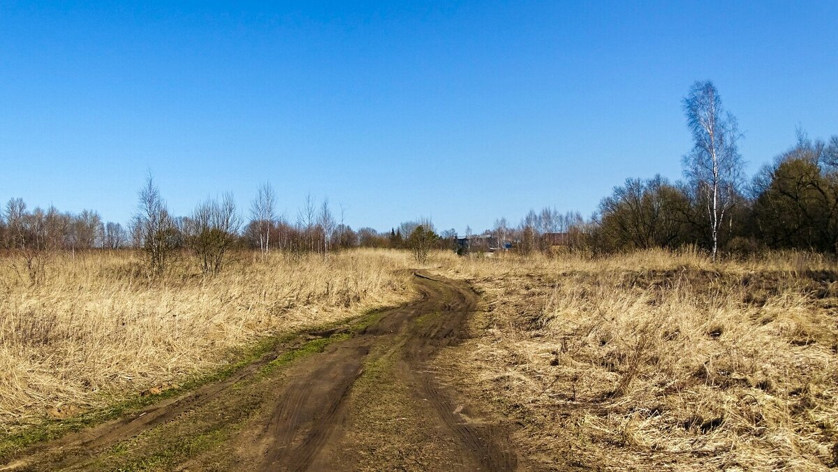 Деревенская дорога (репортаж из поездок по области) - Милешкин Владимир Алексеевич 