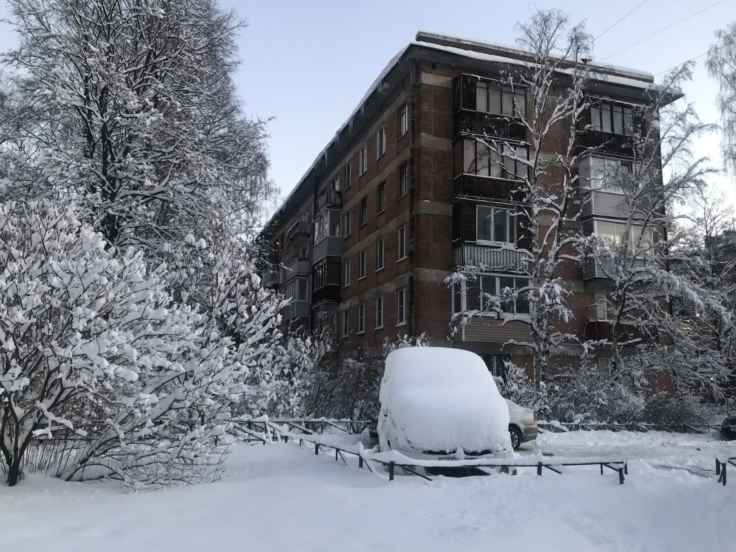 подснежник - zavitok * подснежник - zavitok *