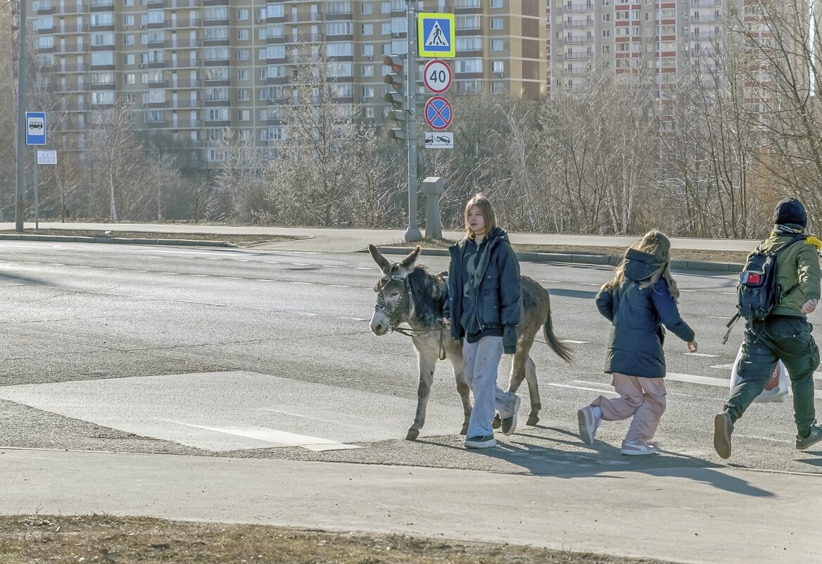 Собак заводят собачники, а ослов заводят. ослятники? - Валерий Иванович