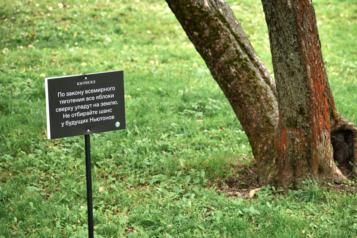 Опасайтесь передозировки!! - Валерий Пославский Опасайтесь передозировки!! - Валерий Пославский