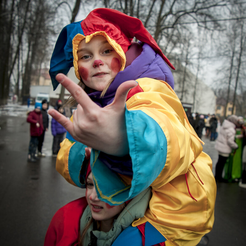 Скоморохи - Владимир Носов