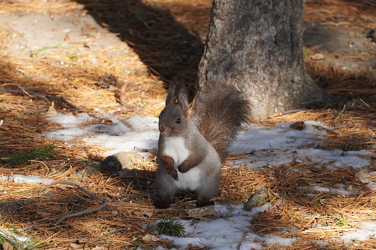 - Чем угостишь? - Галина Кан