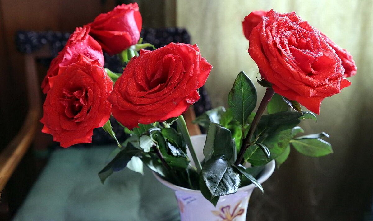 Розы в подарок - ZNatasha -