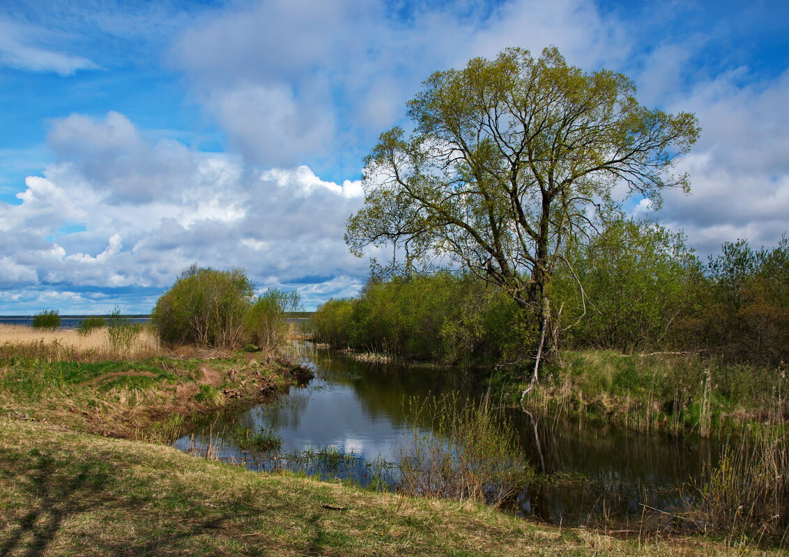 Майский день - lady v.ekaterina Майский день - lady v.ekaterina