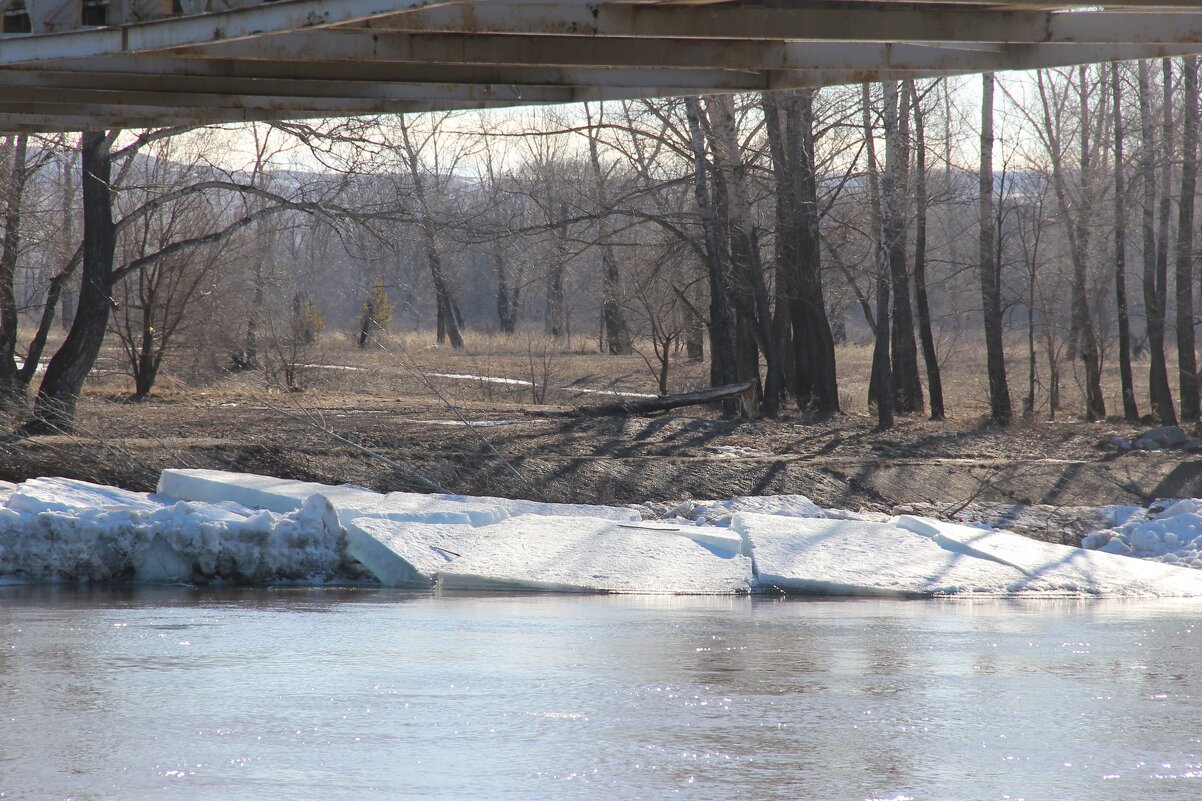 За городом. - Венера Чуйкова За городом. - Венера Чуйкова