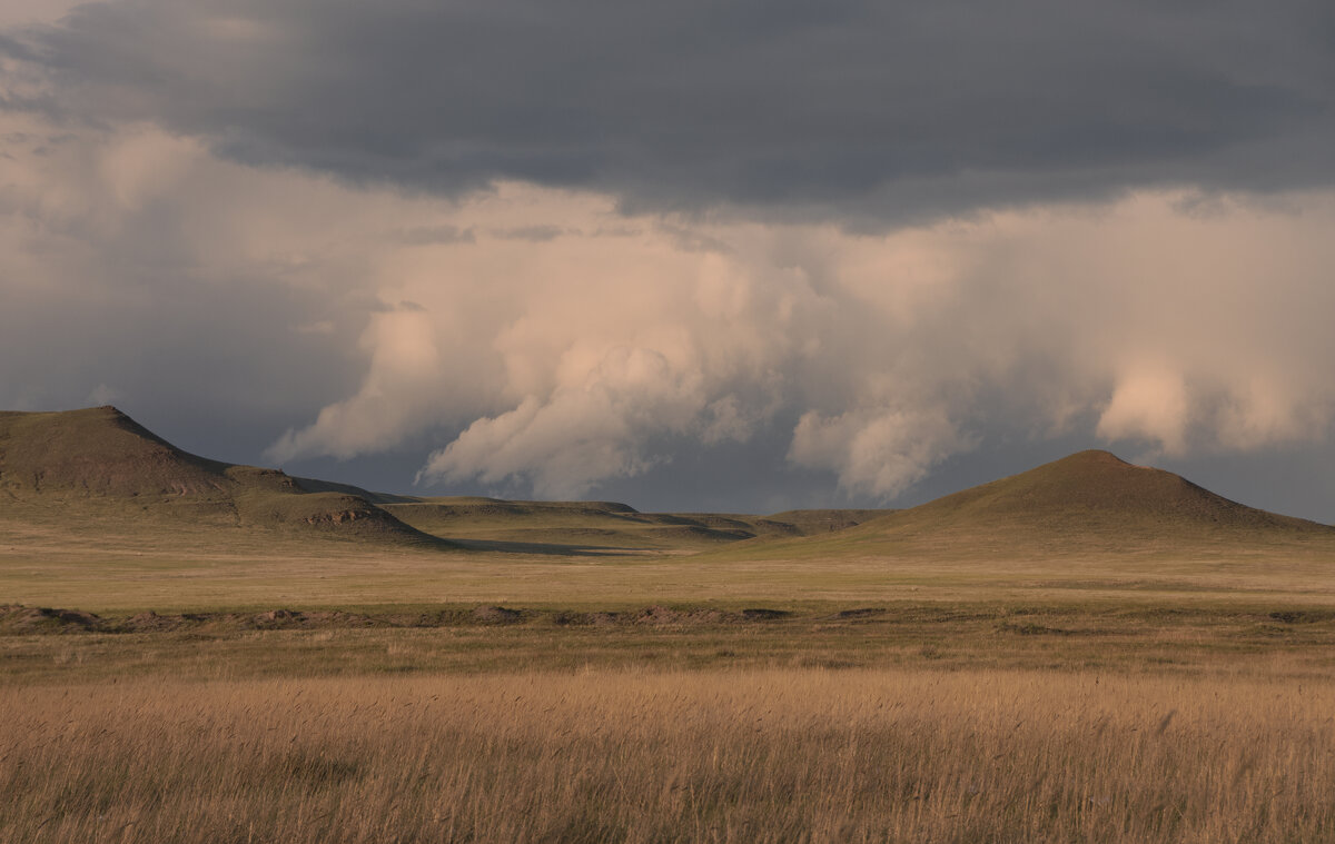 * - Александр Иванов * - Александр Иванов