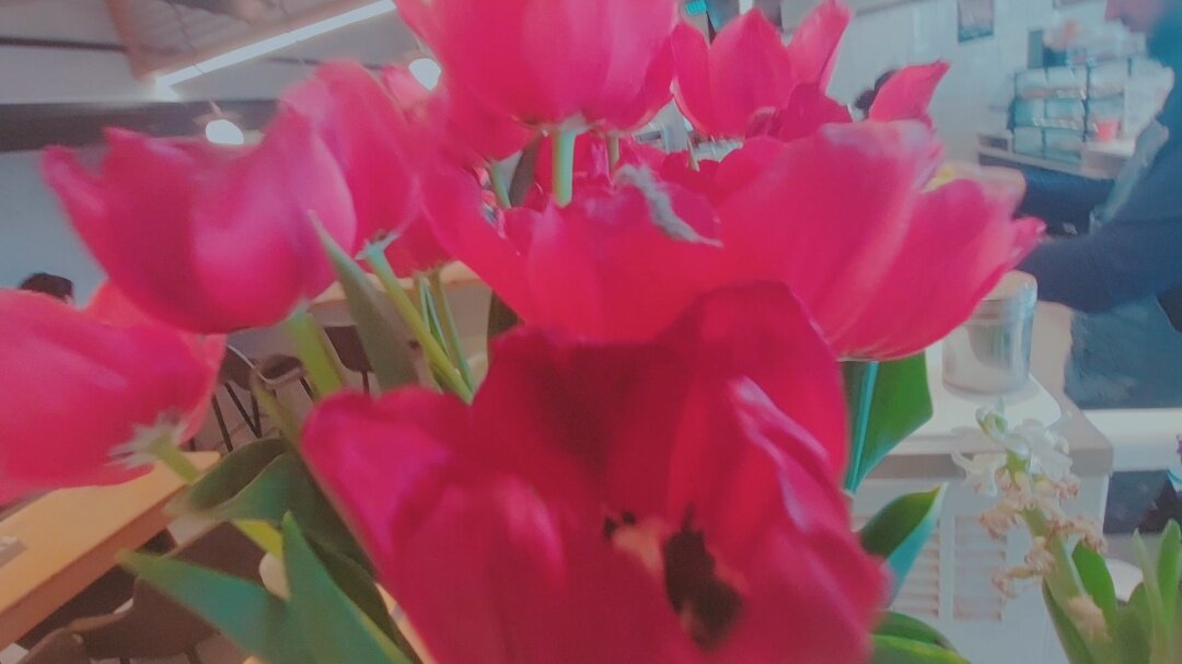 110 (83) - СТРЕН 