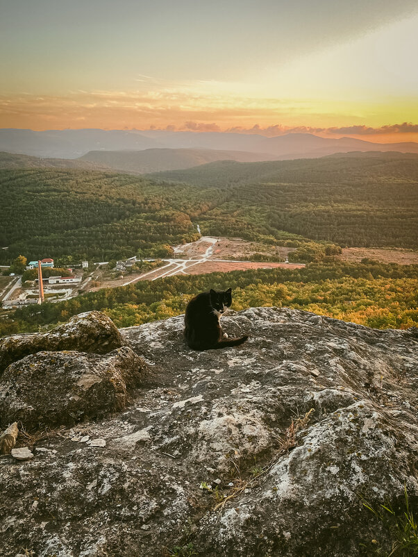 На вершине - Татьяна Аникина На вершине - Татьяна Аникина