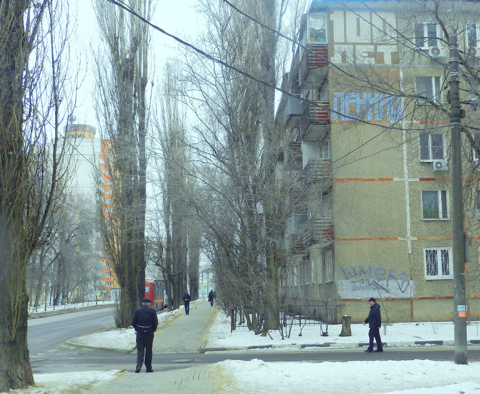 улица - Лера улица - Лера