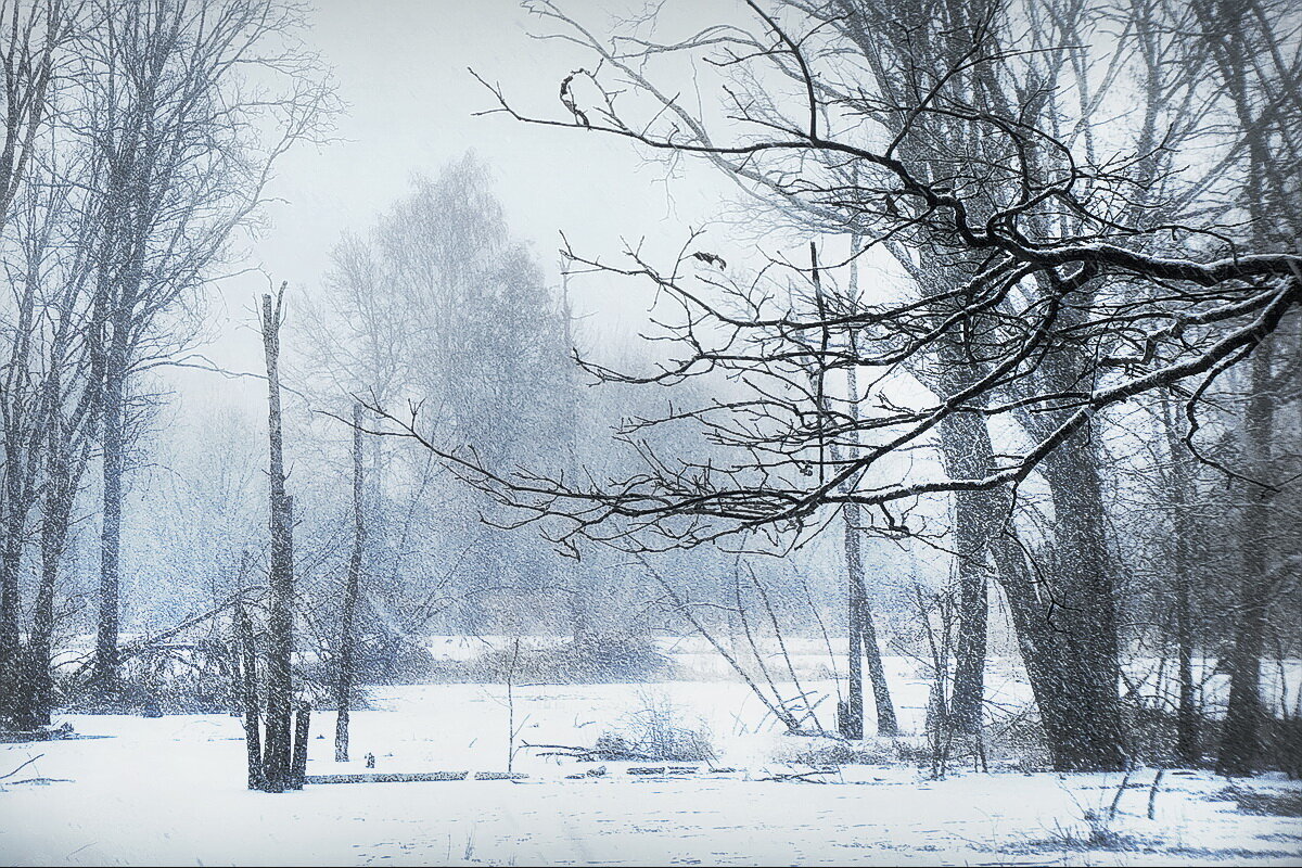 На оз. Тёмное... - Владимир Шошин
