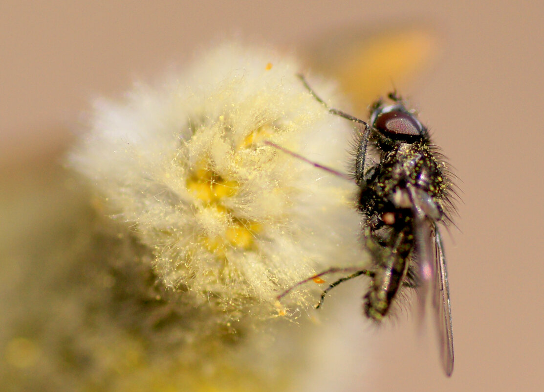 Природа 22 марта  5 - Александр Прокудин