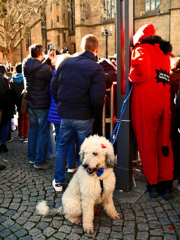 Гости карнавала - 58 - Алексей Кузнецов