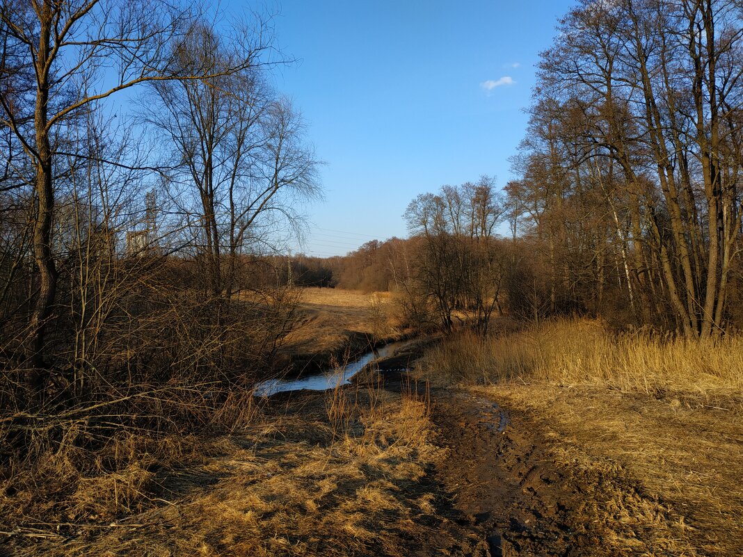 Март в Измайловском парке - Андрей Лукьянов Март в Измайловском парке - Андрей Лукьянов