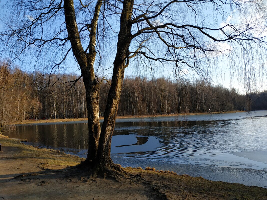 Март в Измайловском парке - Андрей Лукьянов