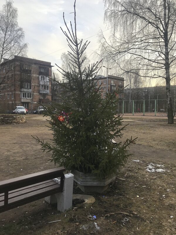 снег растаял - zavitok * снег растаял - zavitok *