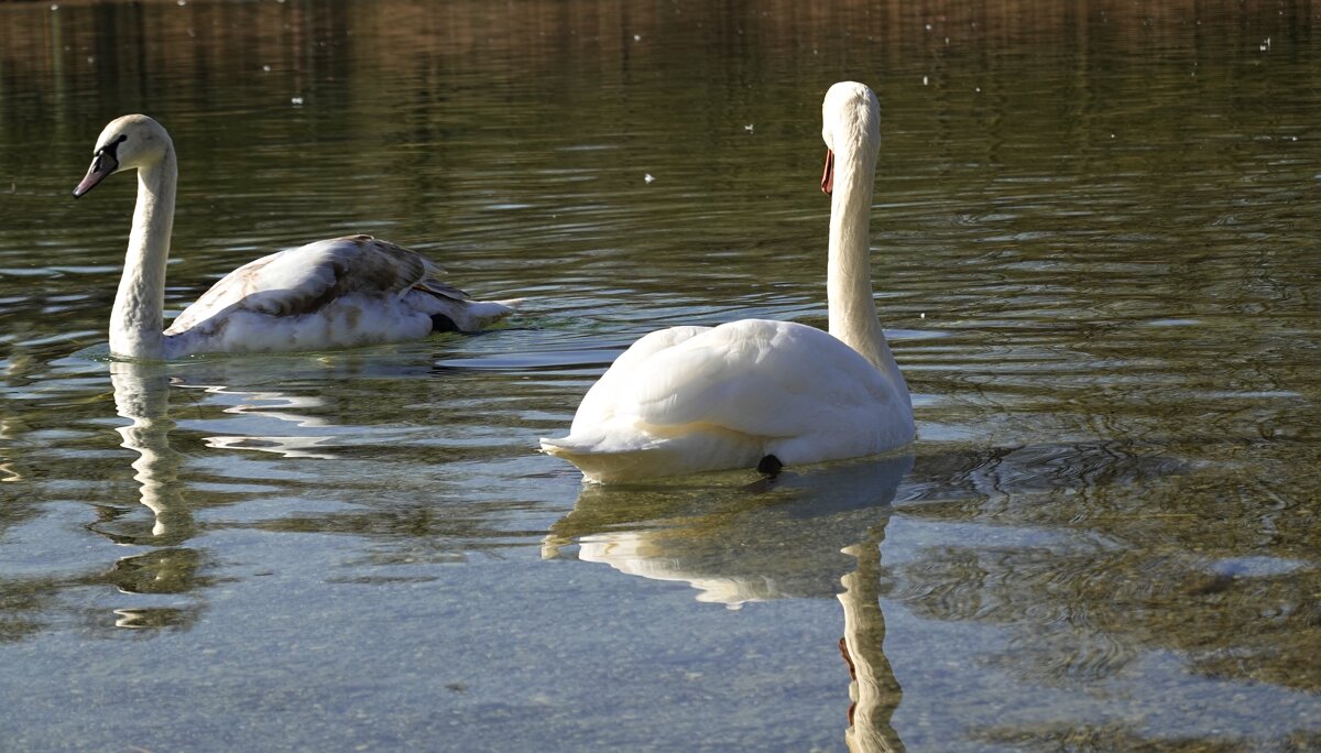 ... - Галина ... - Галина