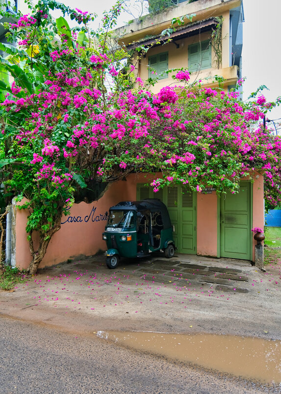 Спрятался - Dmitry i Mary S