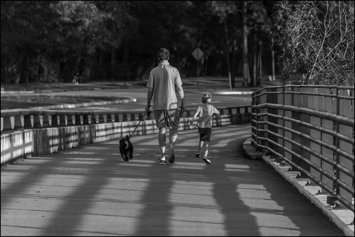 Мост - **** vedin