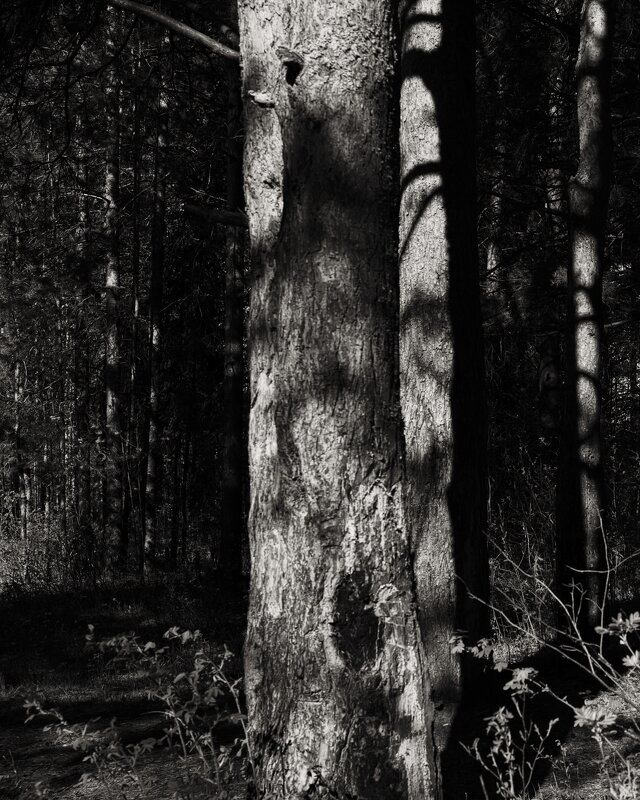 Название отсутствует - Денис Безногов