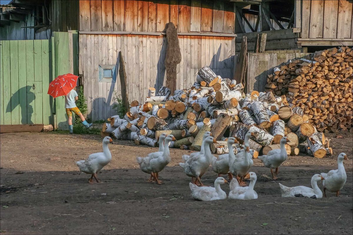 ПОЛЕННИЦА 13 - Александр Кустов