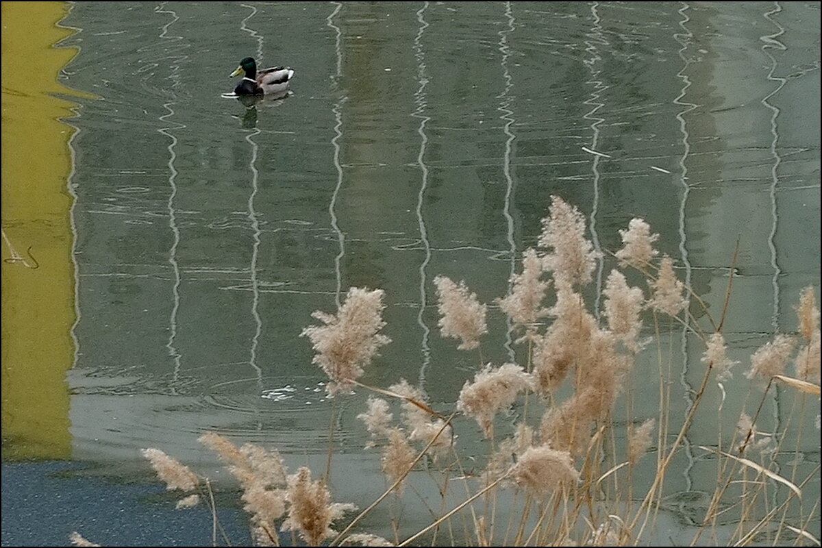 В отражении - Фёдор Меркурьев В отражении - Фёдор Меркурьев