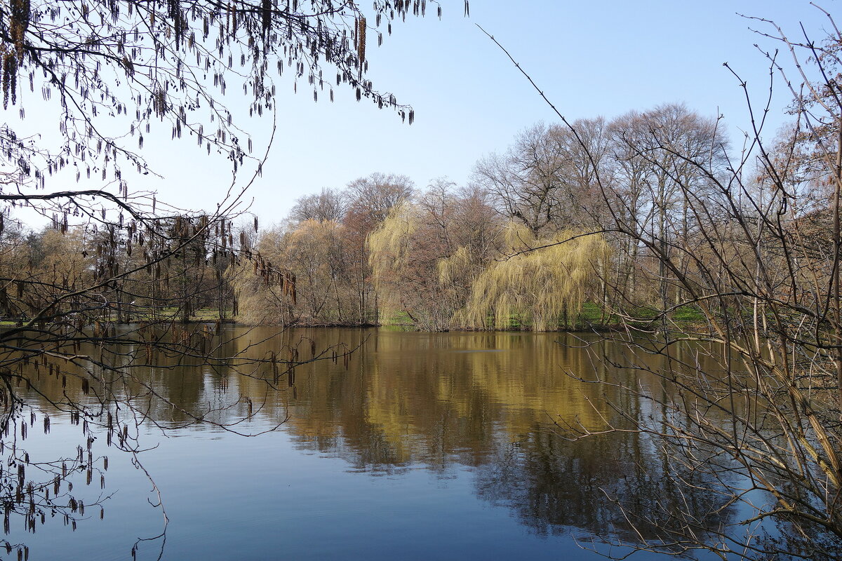 Март - Рита Симонова Март - Рита Симонова