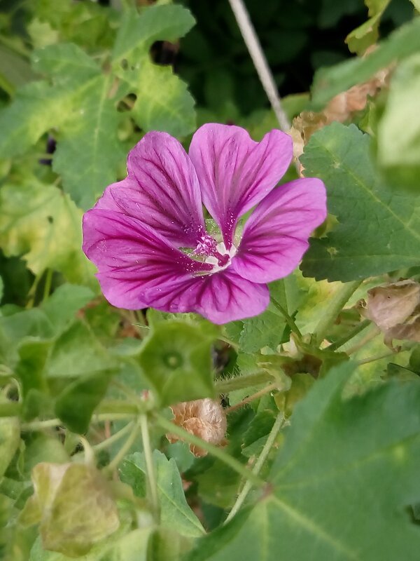 ,,, - Сергей Тимоновский