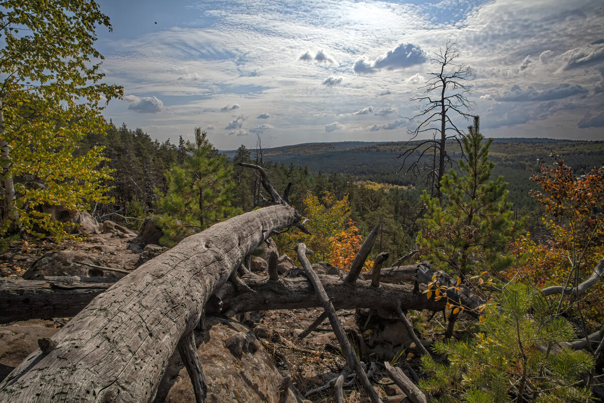 * - Александр Лисовский * - Александр Лисовский