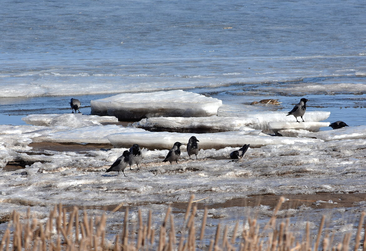 ........ - Алексей .