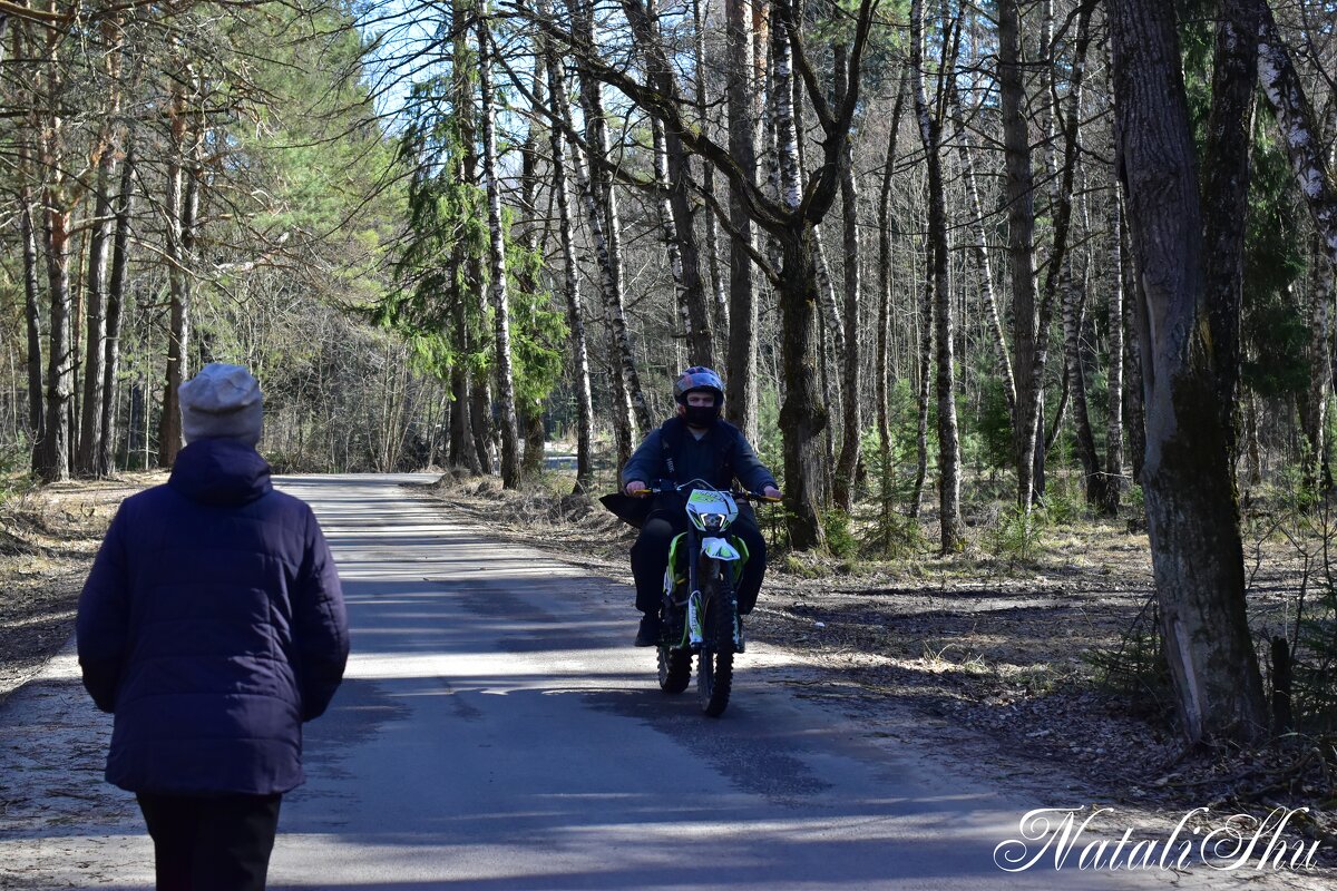Лесной гонщик. - Наталья Вязигина