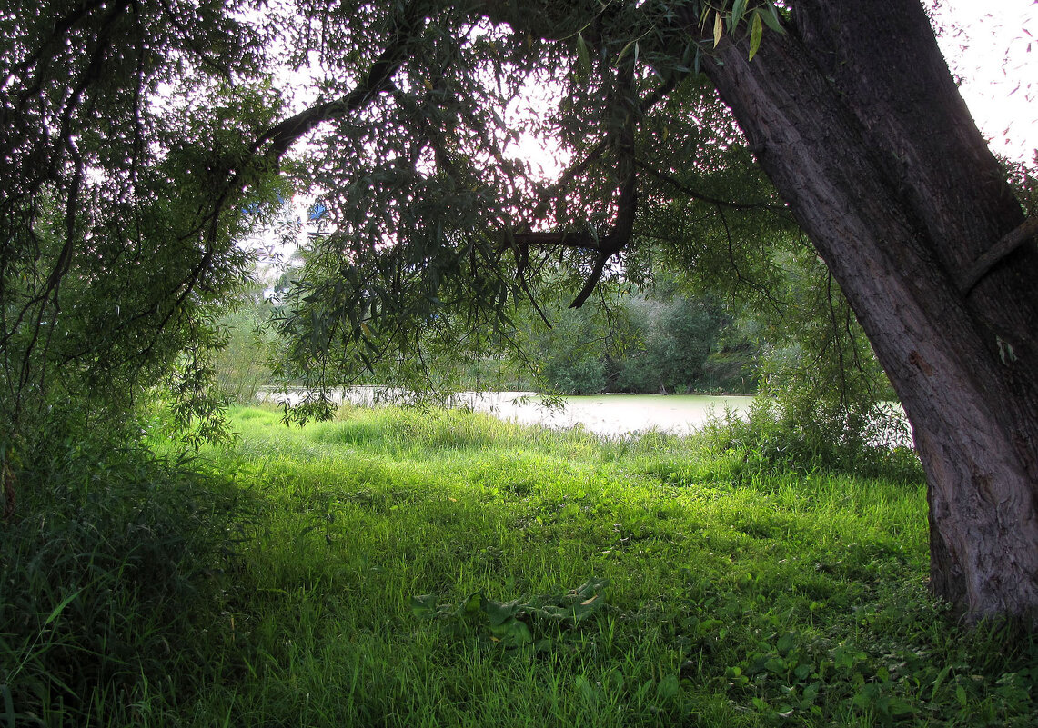 Монастырский пруд - Александр Ильчевский Монастырский пруд - Александр Ильчевский
