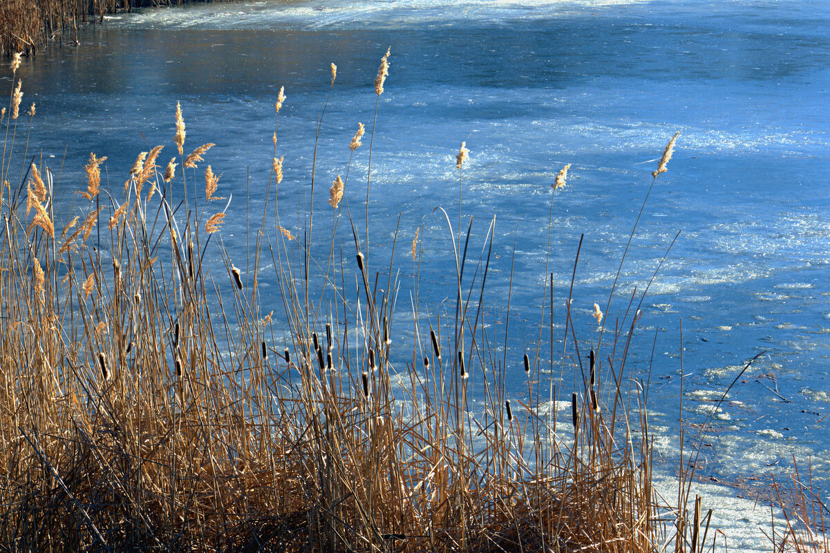 ... - Валерий 