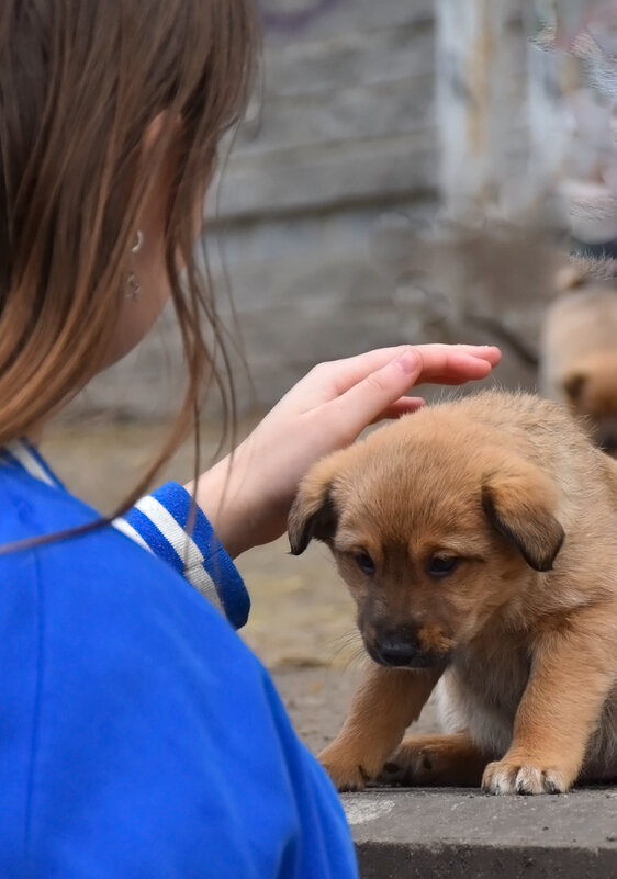 Я не боюсь! - Валентина Нефёдова Я не боюсь! - Валентина Нефёдова