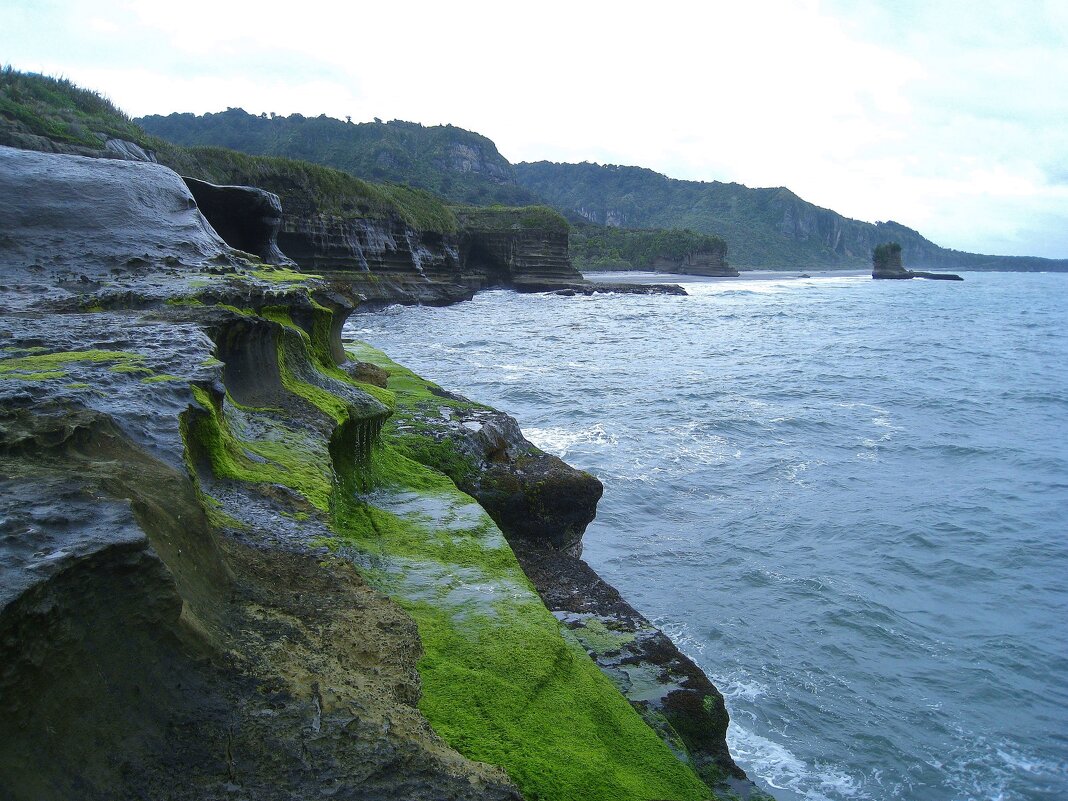 Зелёные скалы Новой Зеландии. - unix (Илья Утропов) Зелёные скалы Новой Зеландии. - unix (Илья Утропов)