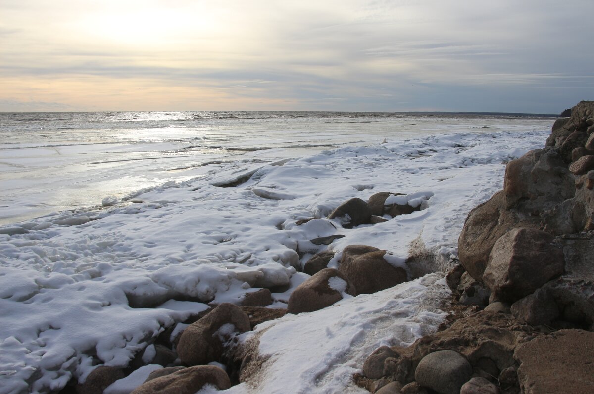 Зеленогорск - Наталья Герасимова