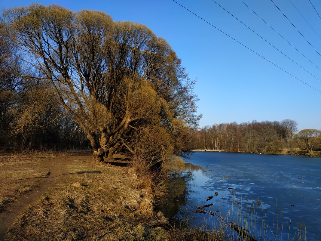 На голубом просторе - Андрей Лукьянов На голубом просторе - Андрей Лукьянов