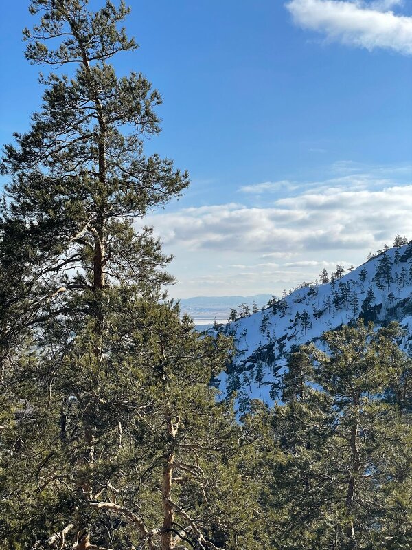 Вершины гор - Георгиевич Вершины гор - Георгиевич