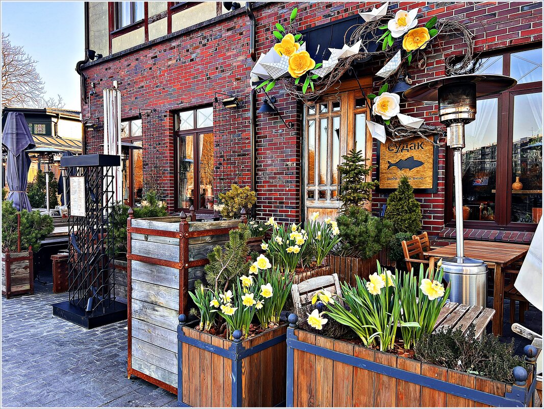 Весна в городе. - Валерия Комова