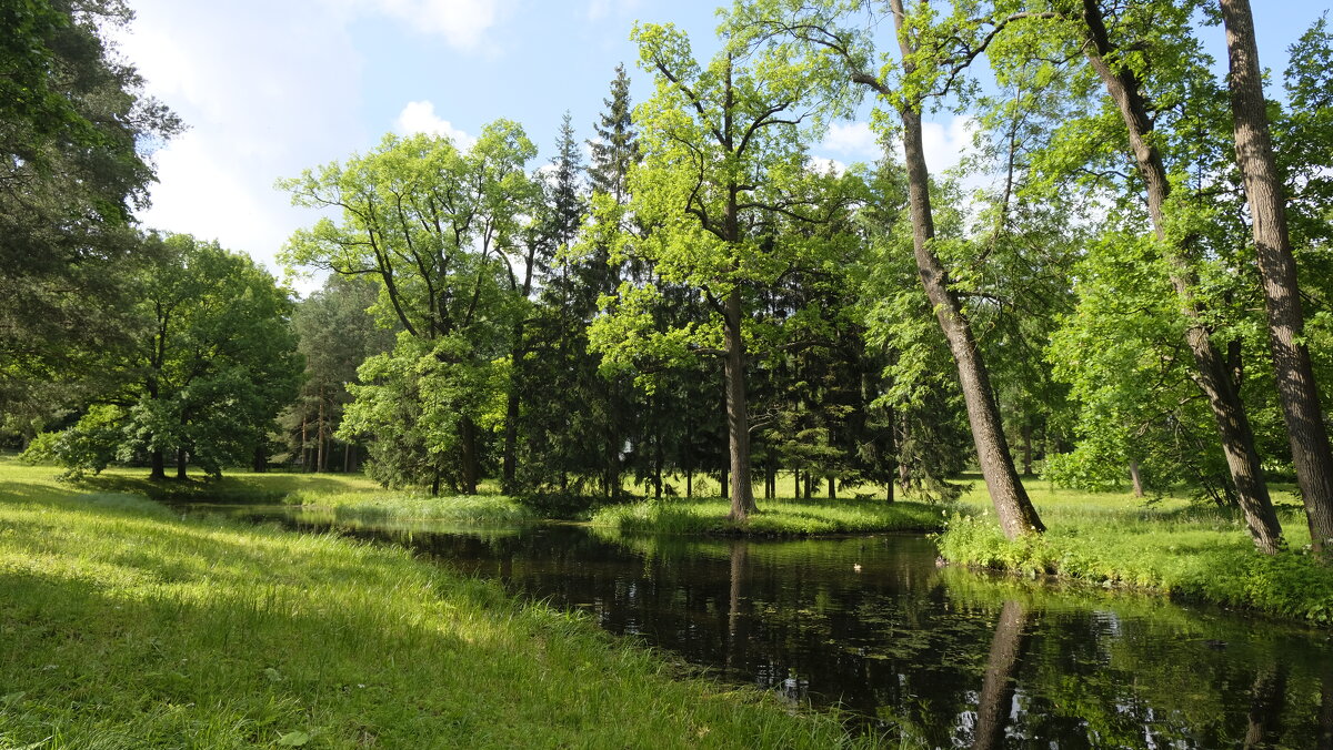 Утро в Царском селе - Олег Зоркий